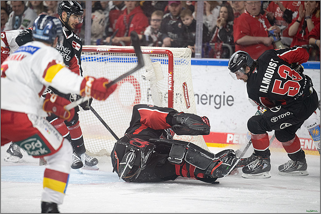 PENNY DEL; Koelner Haie-Duesseldorfer EG ; Koeln, 16.02.2025